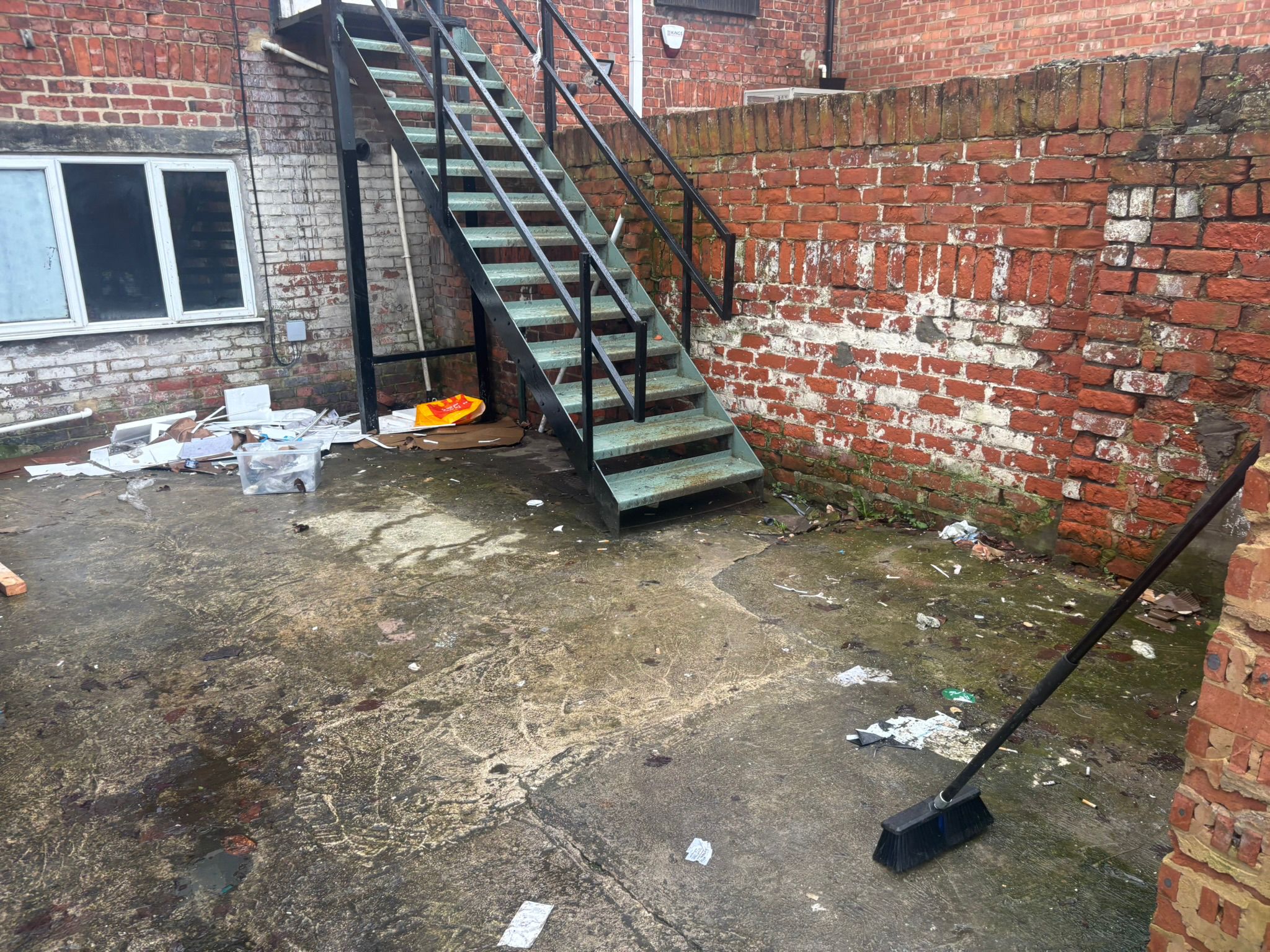 Exterior yard before waste clearance and cleaning